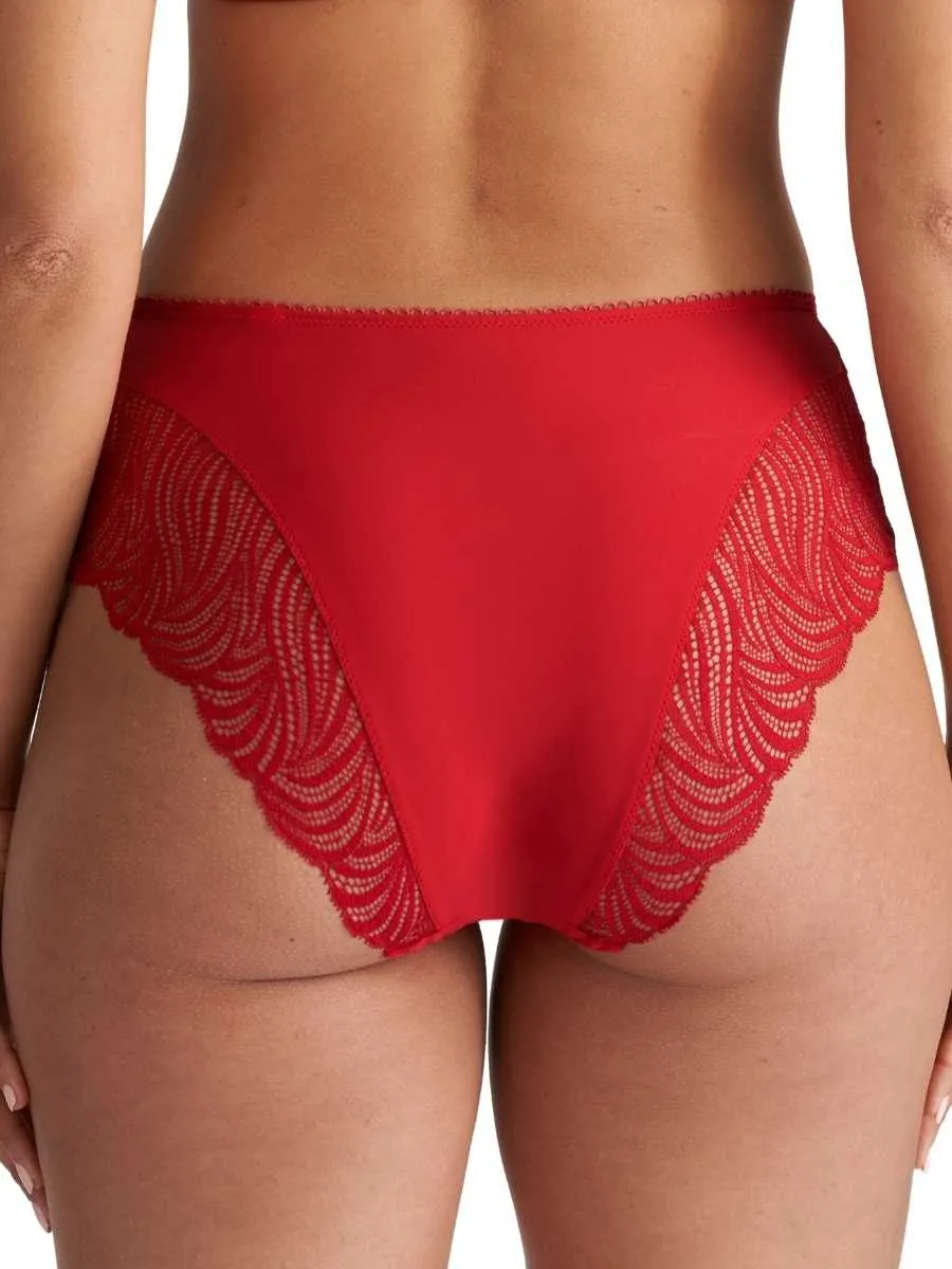 Coely Full Brief