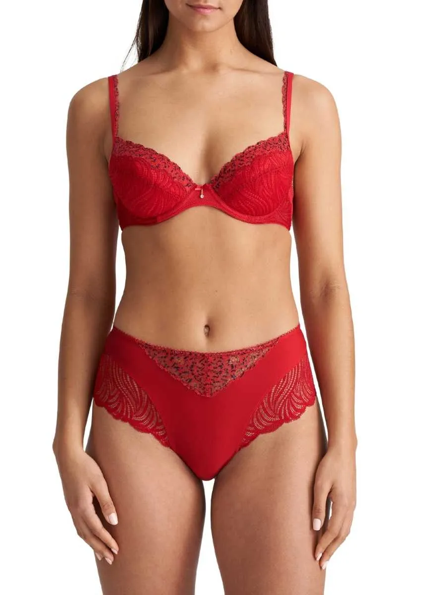 Coely Full Brief
