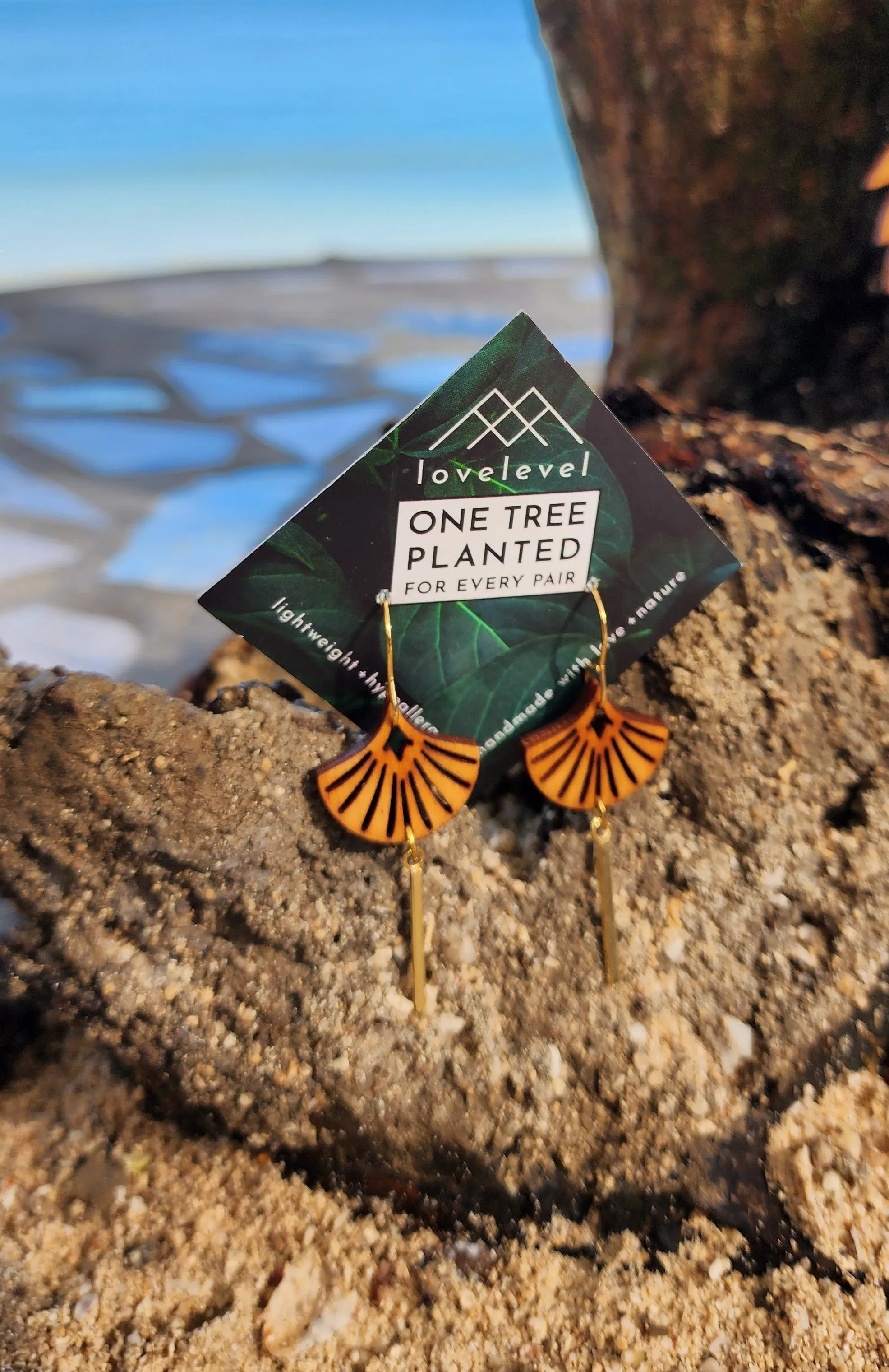 Natural Wood Earrings | FAN DROP